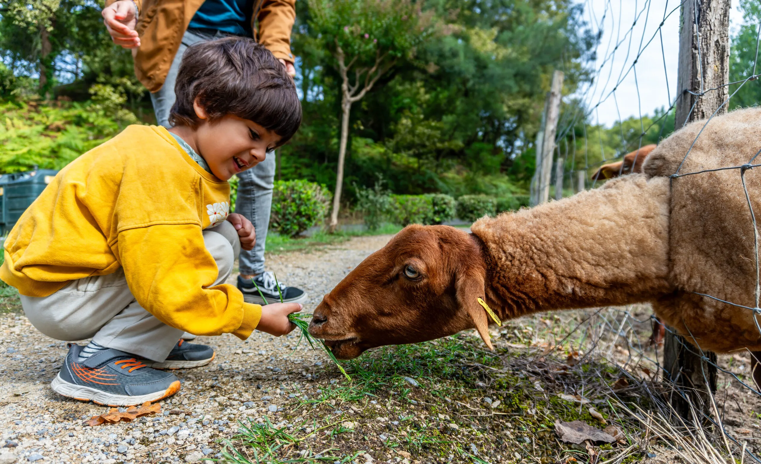 Kind op de kinderboerderij